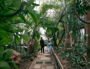 Dzień Herbaty w Palmiarni Poznańskiej