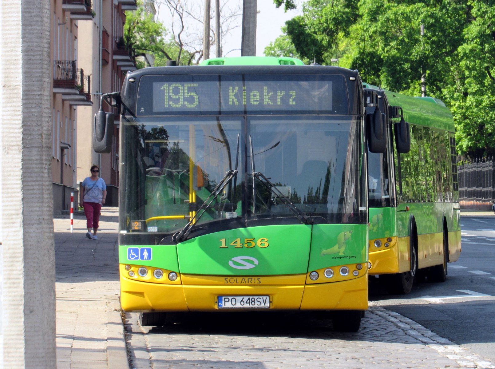 Autobus linii nr 195 - grafika rozmowy