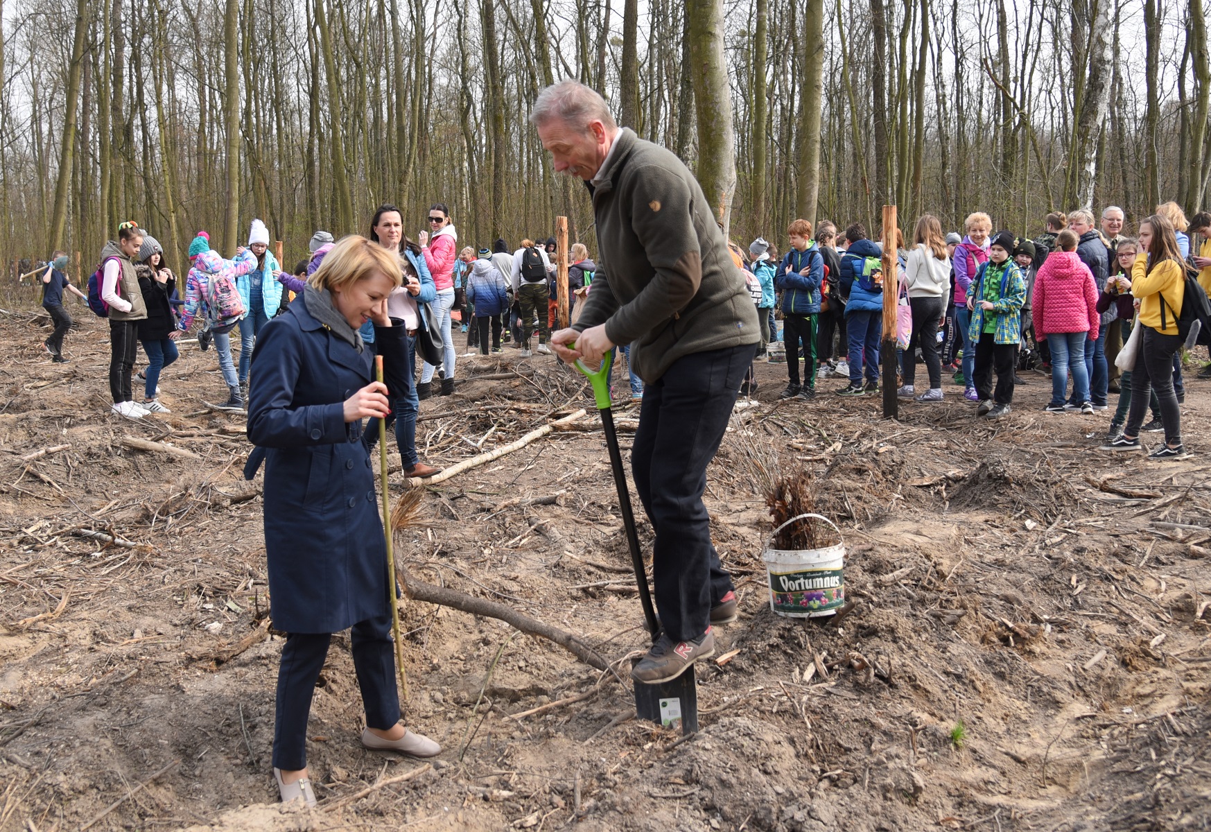 Prawie 7,5 tysiąca nowych drzew będzie rosło w Lasku Marcelińskim - ruszyła akcja sadzenia lasu - grafika rozmowy