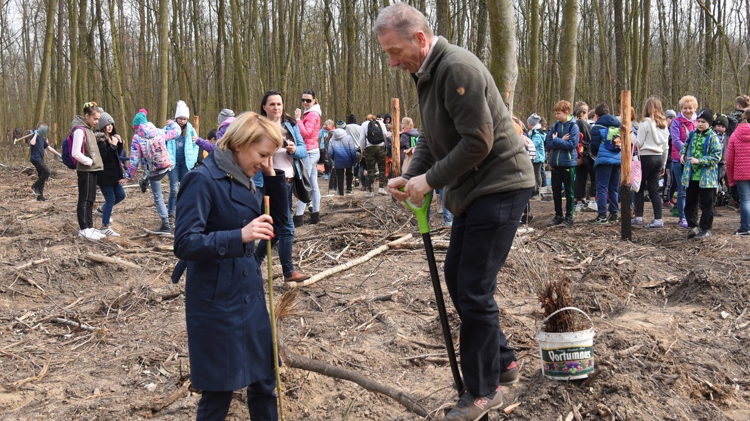 Prawie 7,5 tysiąca nowych drzew będzie rosło w Lasku Marcelińskim - ruszyła akcja sadzenia lasu
