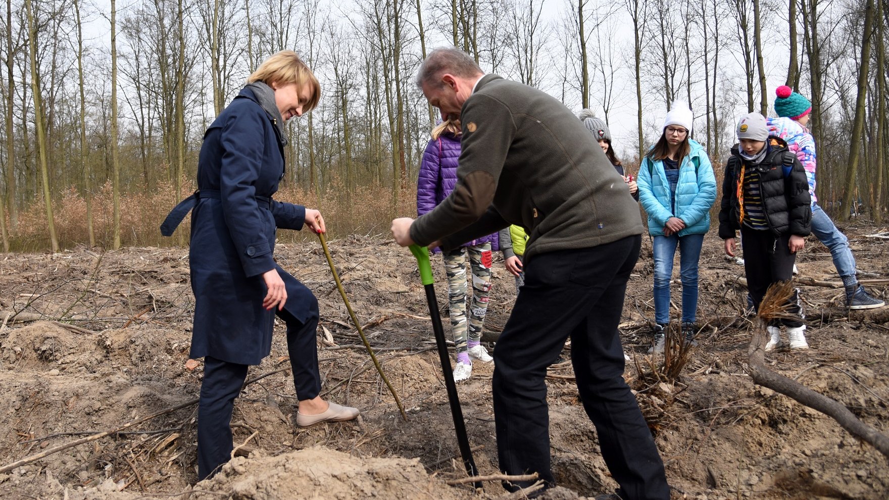 Prawie 7,5 tysiąca nowych drzew będzie rosło w Lasku Marcelińskim - ruszyła akcja sadzenia lasu
