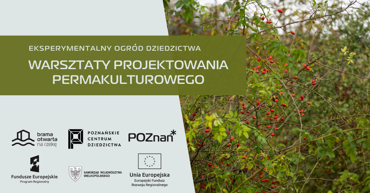 Na grafice widzimy nazwę warsztatów oraz ich organizatorów oraz zdjęcie gałązek drzewa z czerwonymi małymi owocami. - grafika rozmowy