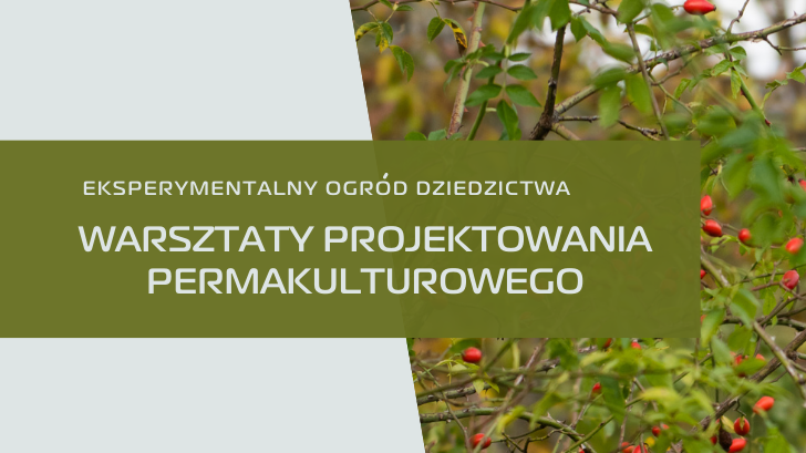 Na grafice widzimy nazwę warsztatów oraz ich organizatorów oraz zdjęcie gałązek drzewa z czerwonymi małymi owocami.