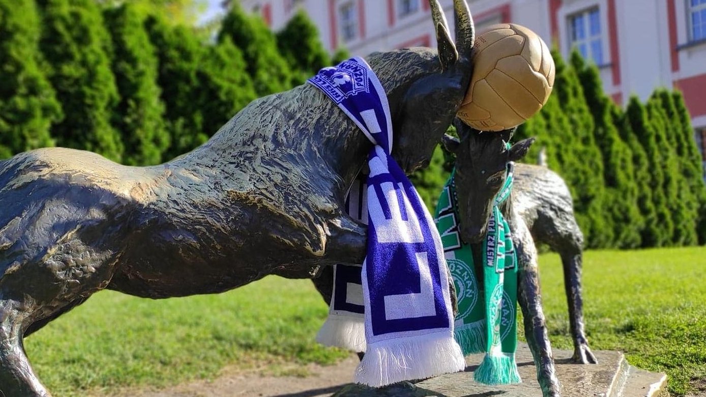 Poznańskie koziołki ubrane w szaliki Lecha i Warty