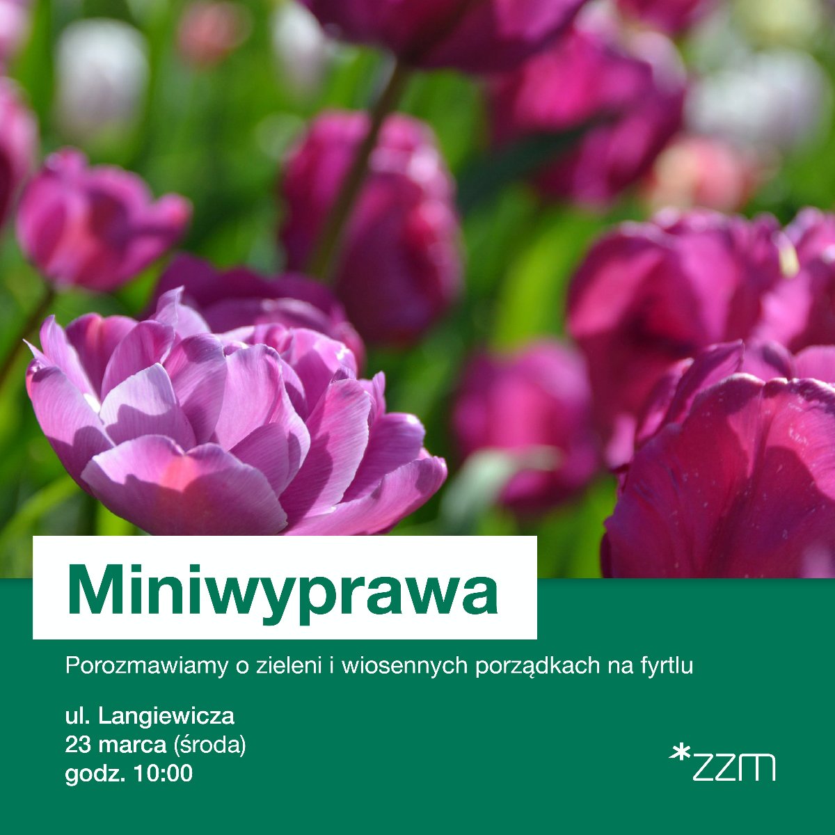 Grafika przedstawia zdjęcie różowych kwiatów oraz informacje o spacerze. - grafika rozmowy