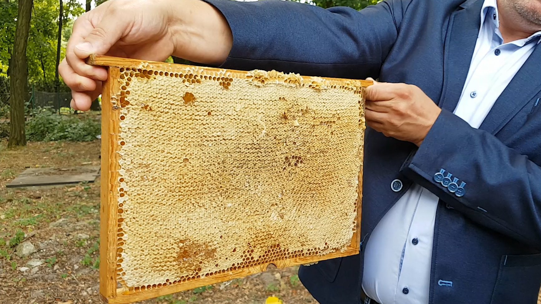 W parku Cytadela powstała miejska pasieka. Szybko zamieszkały w niej pszczoły, które zaczęły produkować miód
