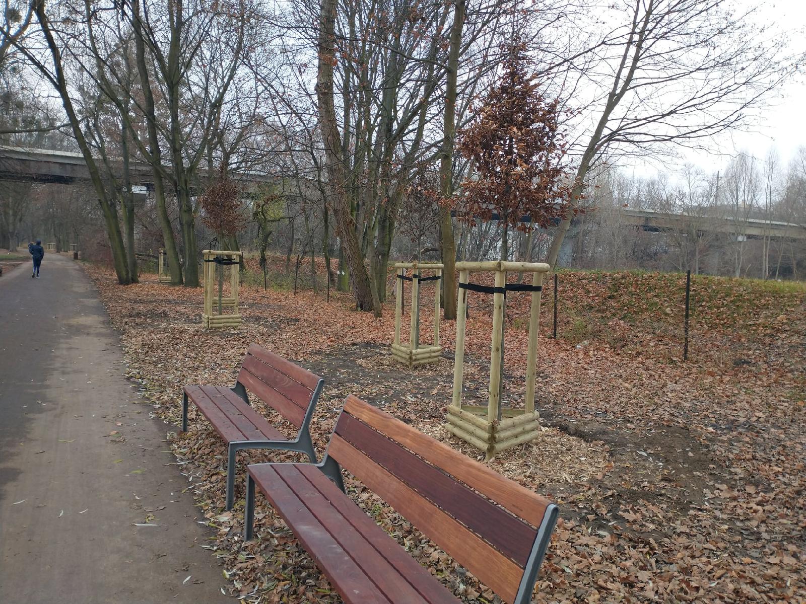 Park Wodziczki jesienną porą. Po parkowej alejce spacerują ludzie. Na pierwszym planie widać ławki i nowo posadzone drzewa. - grafika rozmowy