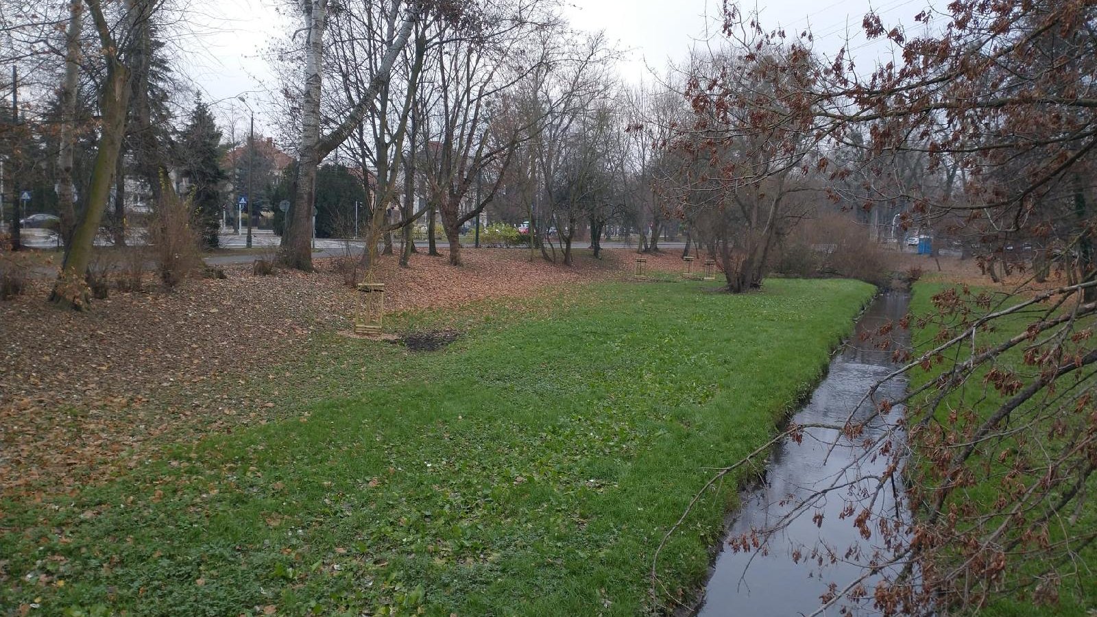 Park Wodziczki jesienną porą. Zdjęcie przedstawia teren zielony oraz biegnącą przez park rzeczkę.