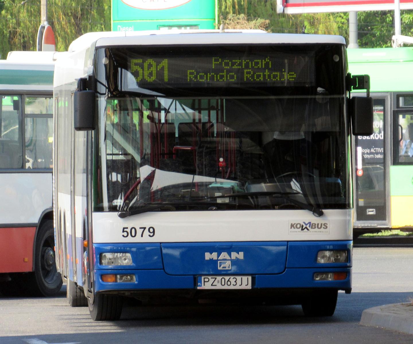 Autobus linii nr 502 - grafika rozmowy