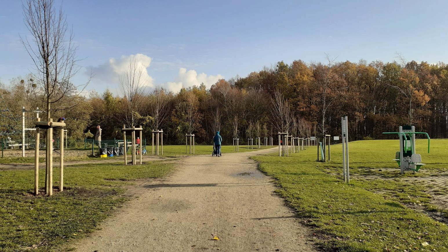 Alejka spacerowa w Lasku Marcelińskim. Pośród świeżo posadzonych drzew spacerują ludzie. - grafika rozmowy