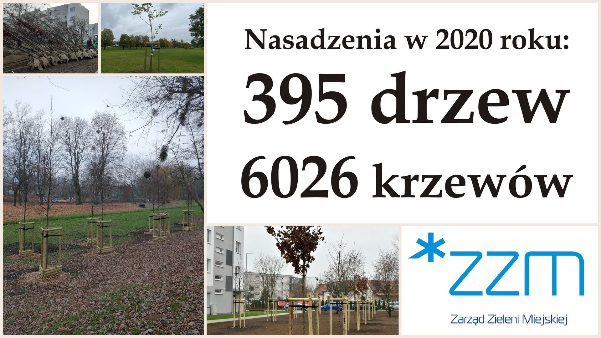 Na grafice znajduje się informacja o liczbie drzew i krzewów posadzonych w 2020 roku oraz kolaż zdjęć, ilustrujących nowe nasadzenia, a także logo Zarządu Zieleni Miejskiej.