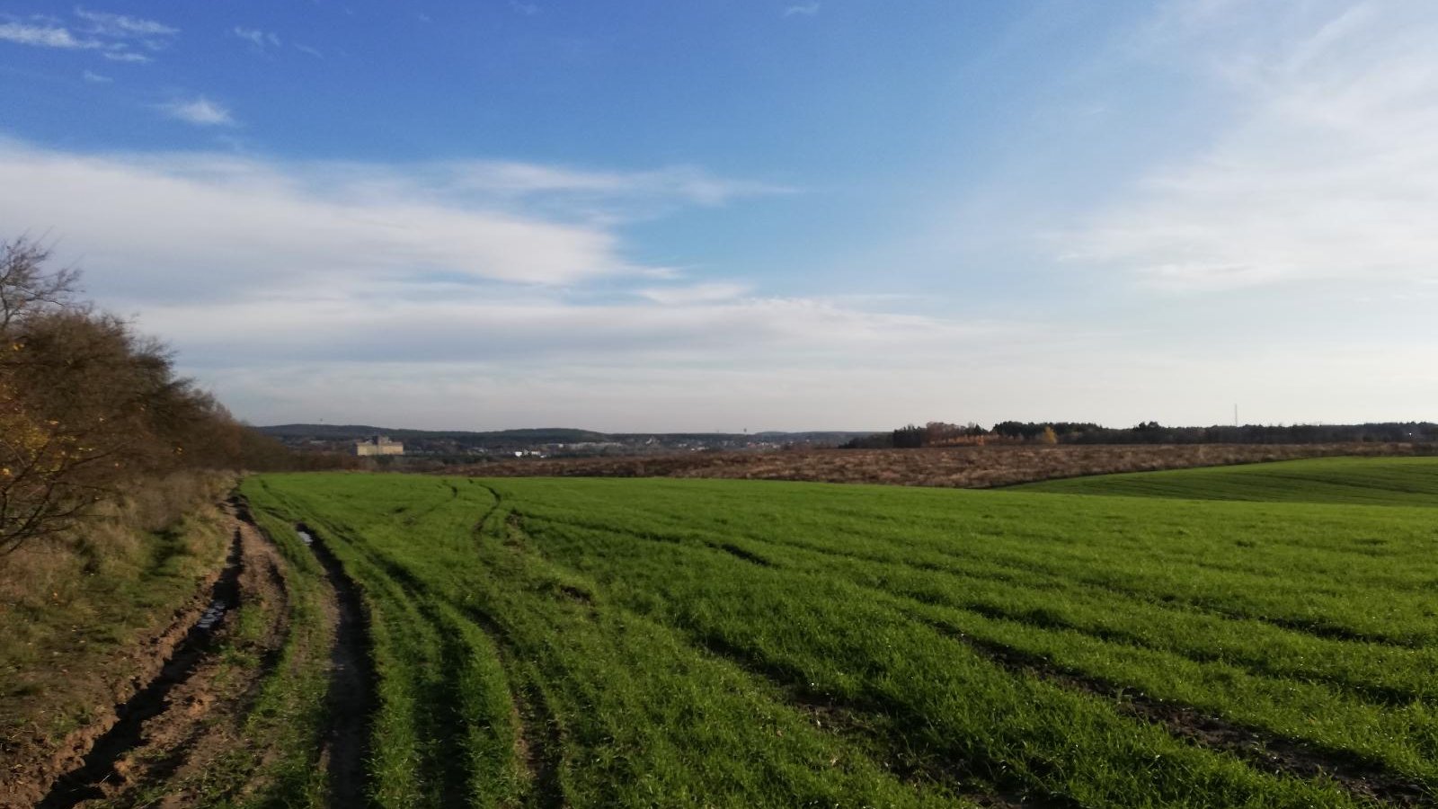 Na zdjęciu duże, porośnięte zielenią pole, w tle zabudowania