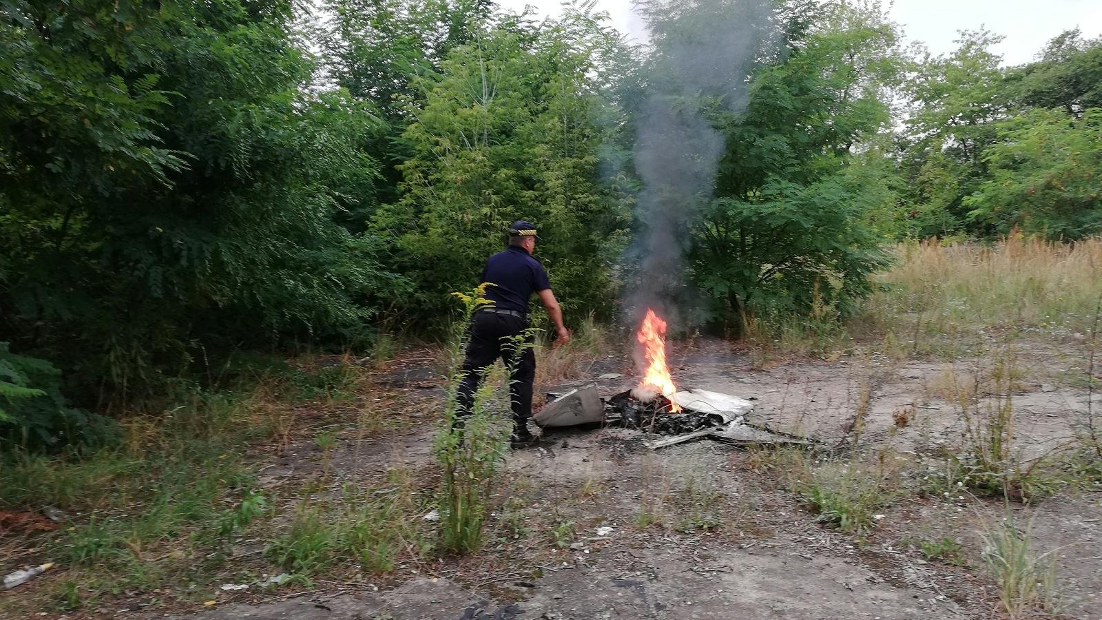 Zdjęcie przedstawia strażnika miejskiego gaszącego ognisko. Wokół znajdują się tereny zielone (trawa i drzewa).