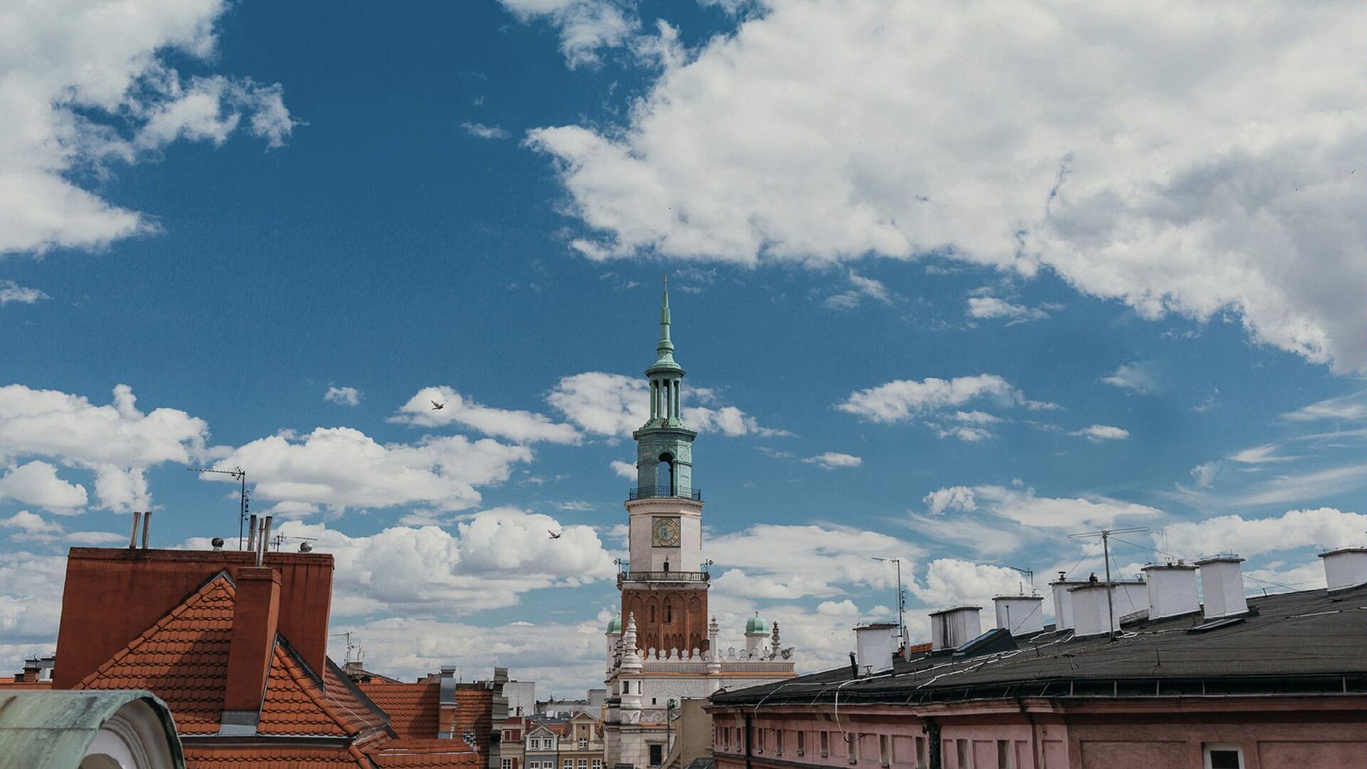 Panorama Poznania, na pierwszym planie dachy kamienic, w centrum wieża Ratusza, u góry błękitne niebo, na nim białe chmury - grafika rozmowy