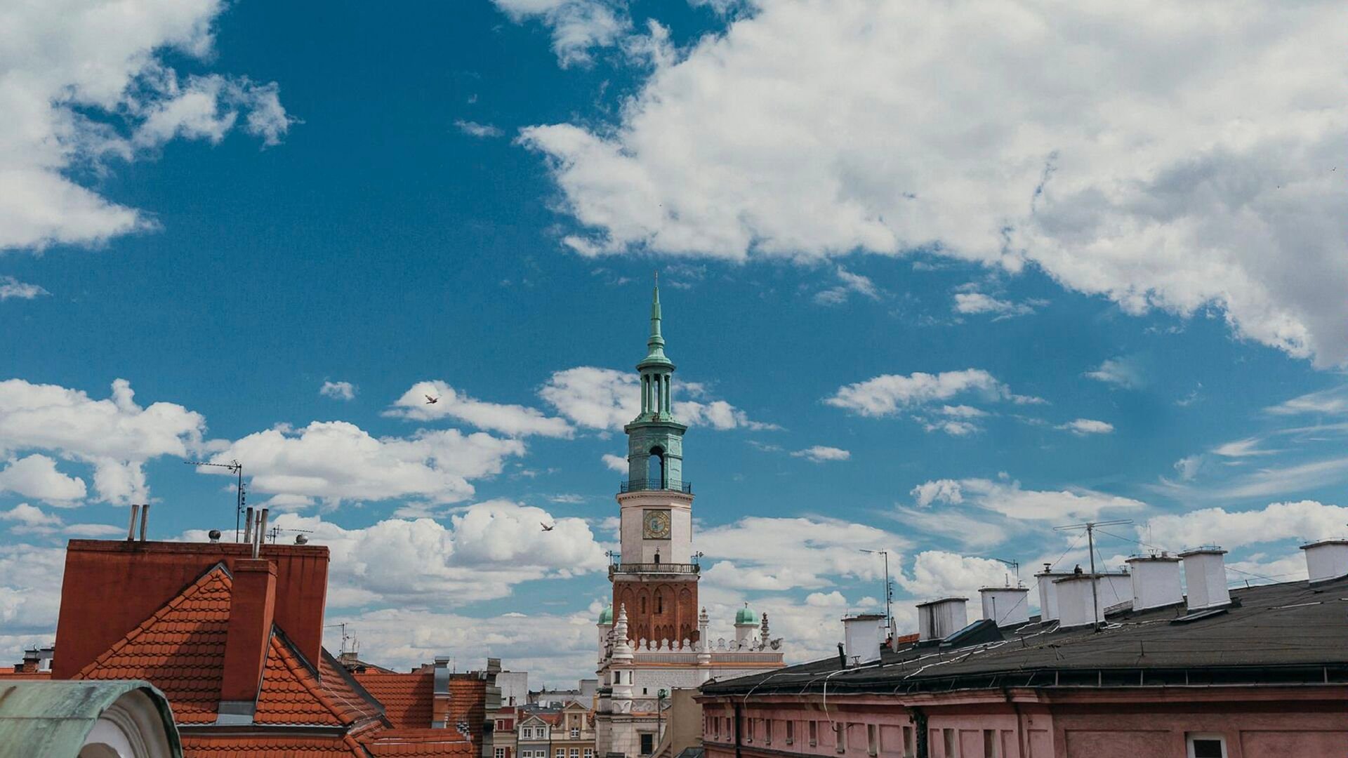 Panorama Poznania, na pierwszym planie dachy kamienic, w centrum wieża Ratusza, u góry błękitne niebo, na nim białe chmury