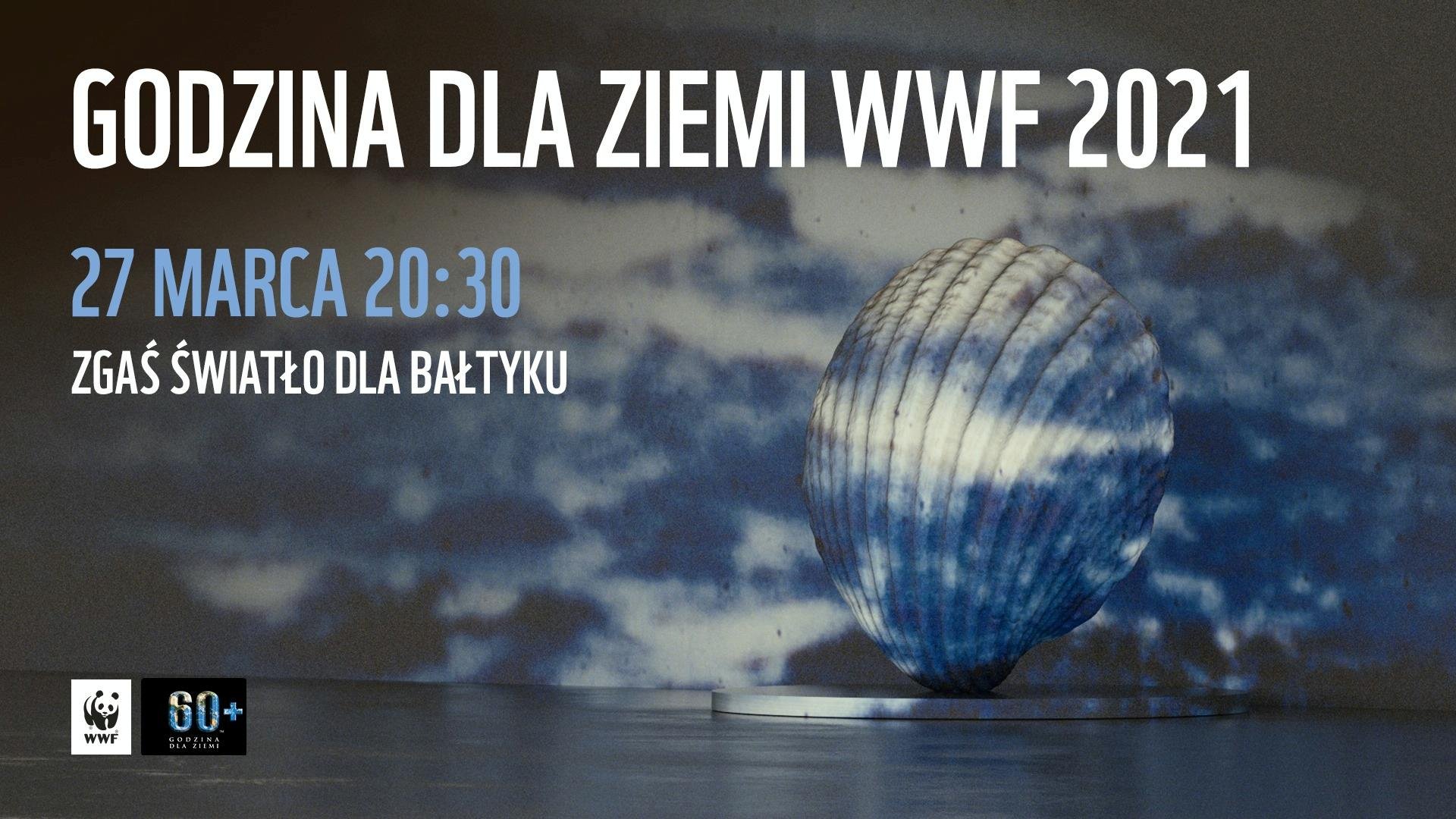 Grafika z białym napisem: Godzina dla Ziemi WWF 2021, w tle muszla i chmury