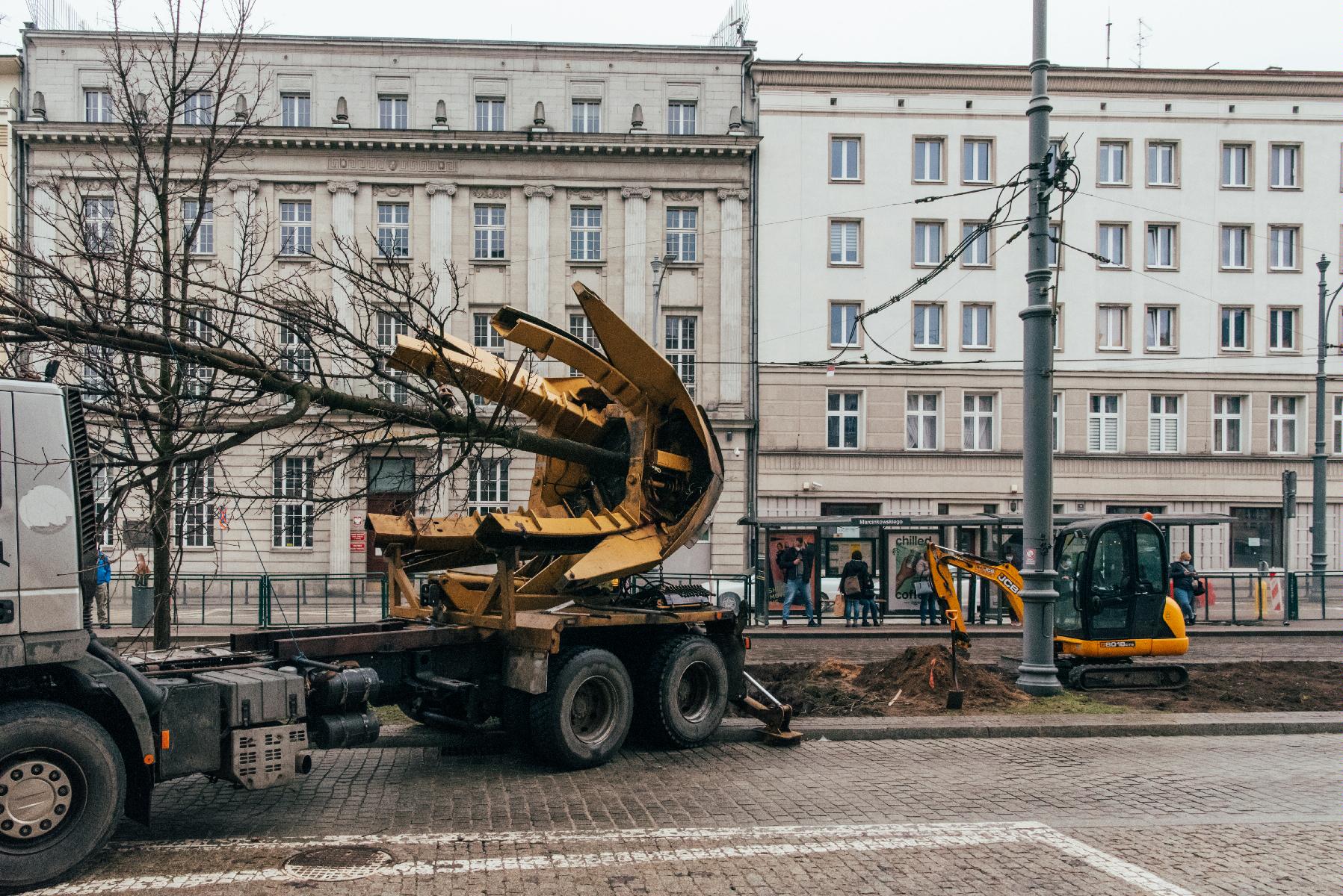 Galeria zdjęć z przesadzania drzew z Al. Marcinkowskiego do Parku Rataje - grafika rozmowy