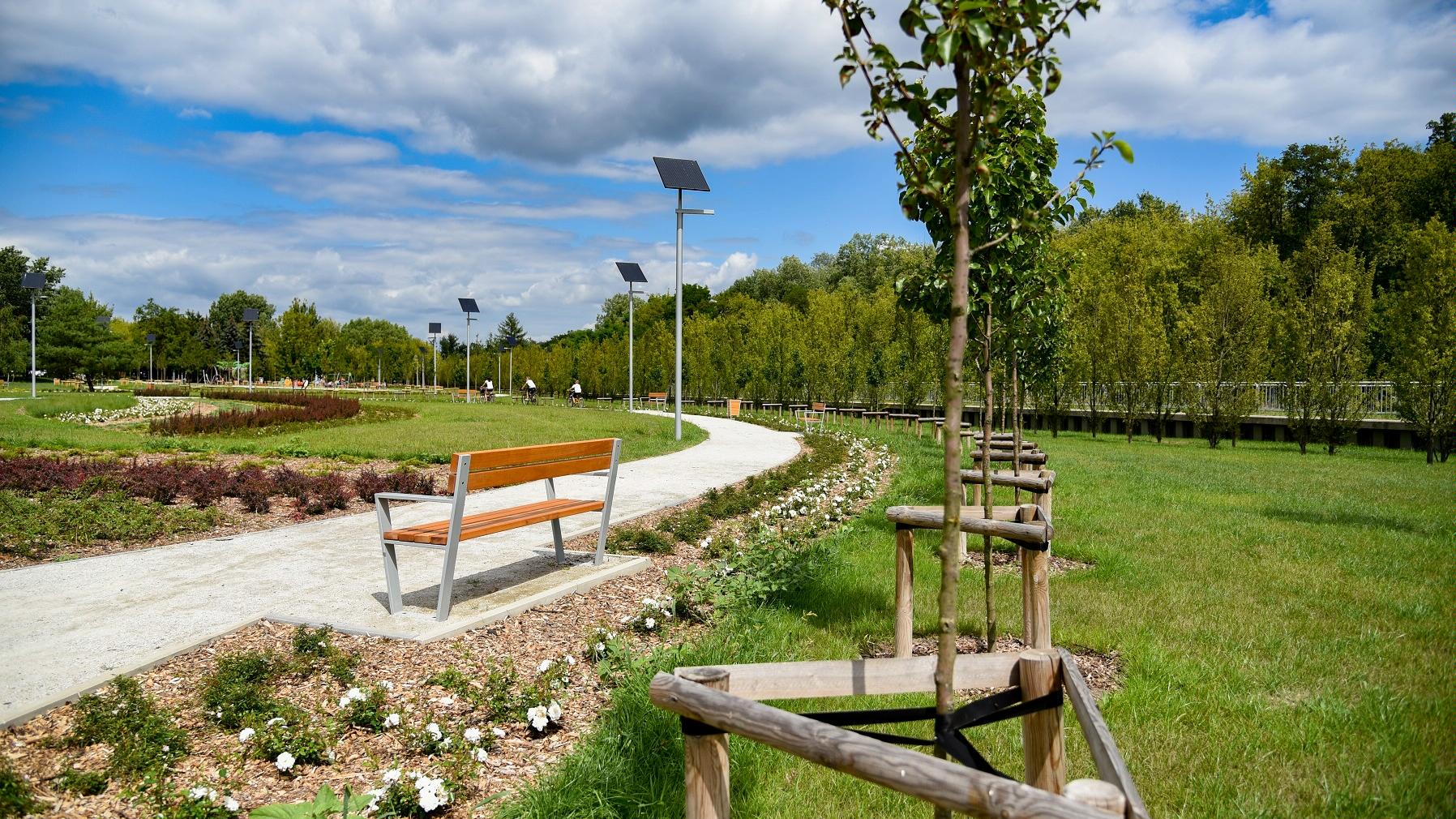 Zdjęcie przedstawia park. Widać na nim teren zielony - trawnik, krzewy, drzewa oraz ławki i kosze na śmieci. W oddali można dostrzec rowerzystów. - grafika rozmowy