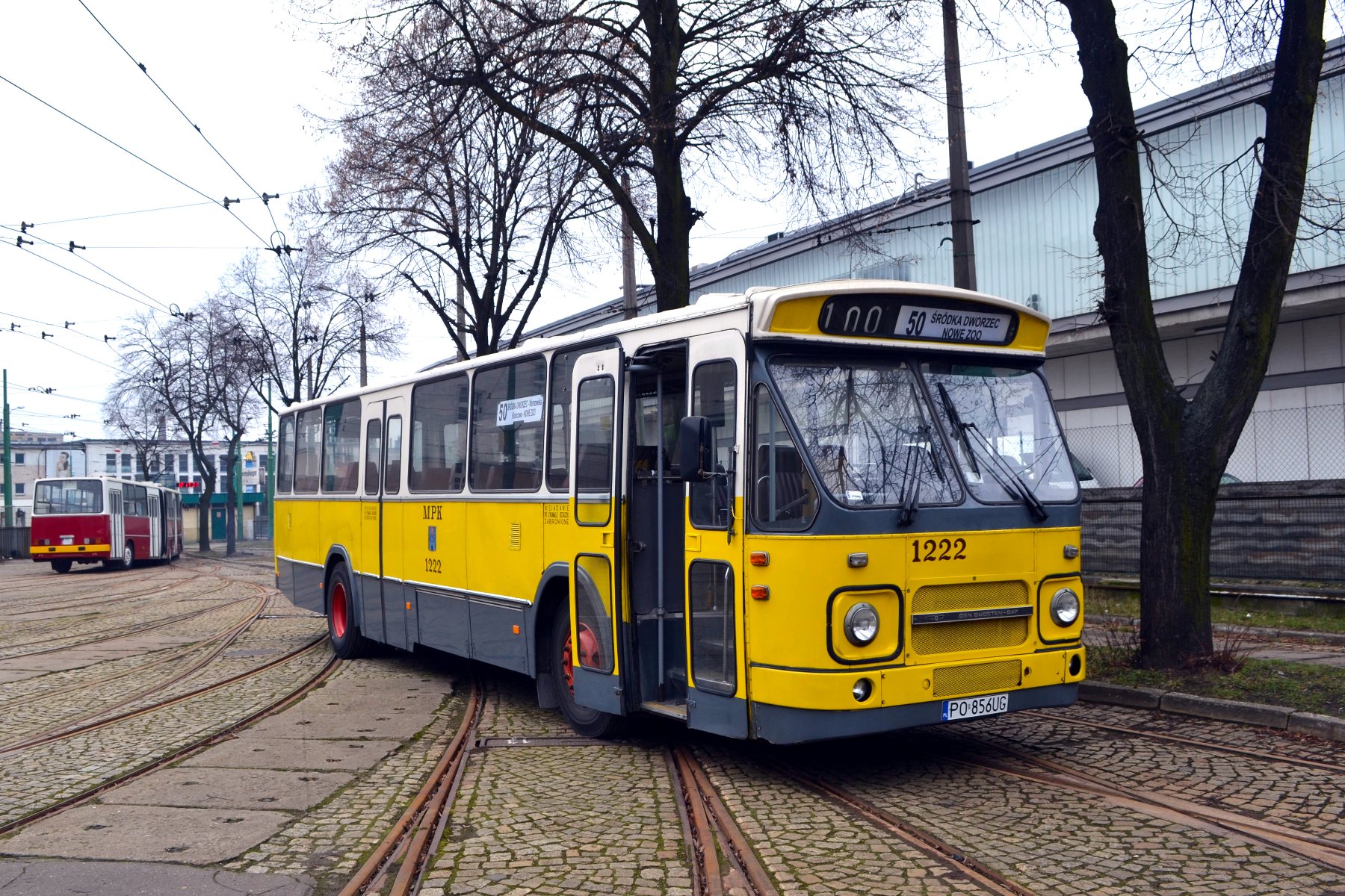 Galeria zdjęć biało-żółto-szarego autobusu DAF - grafika rozmowy