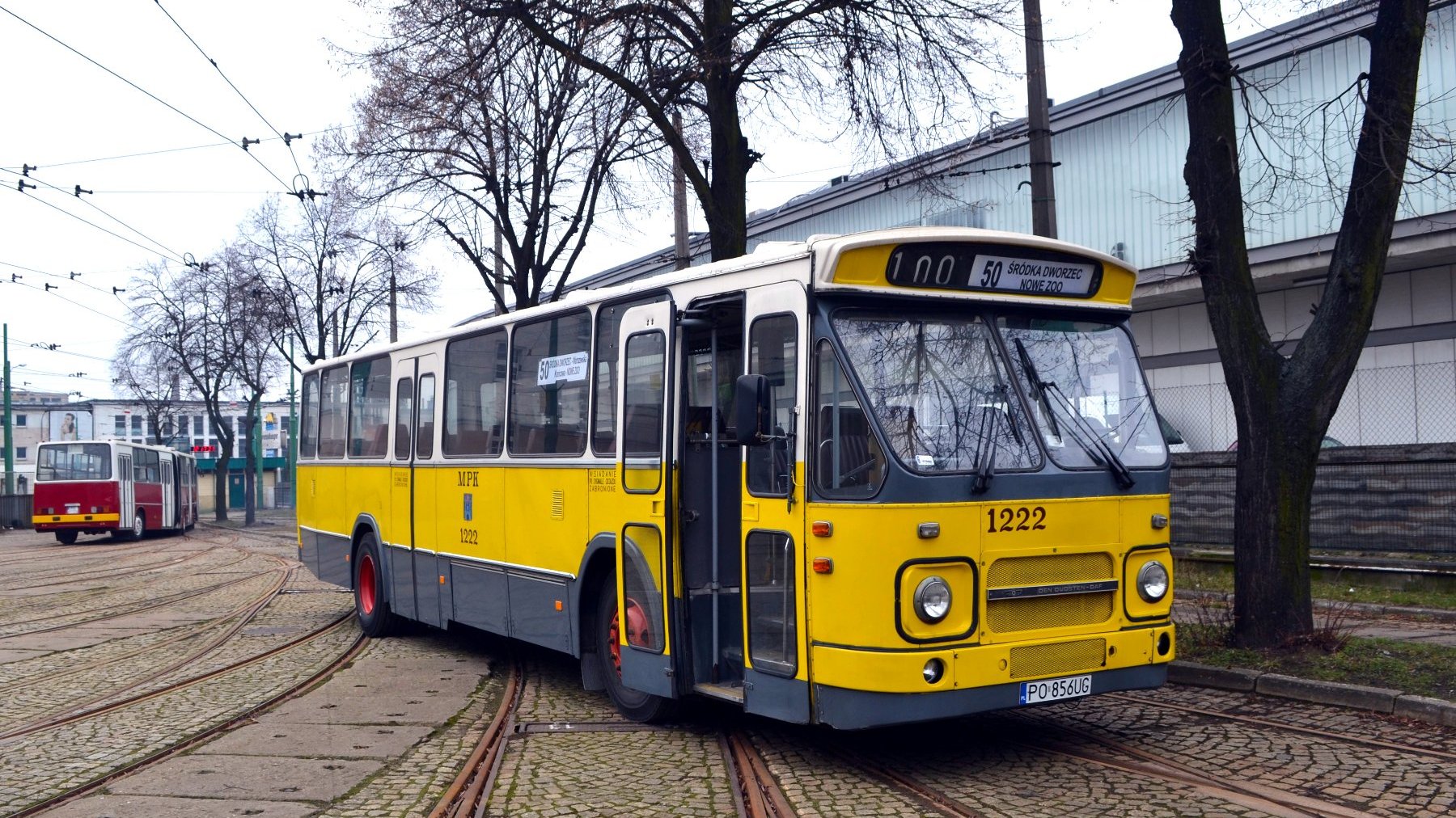 Galeria zdjęć biało-żółto-szarego autobusu DAF