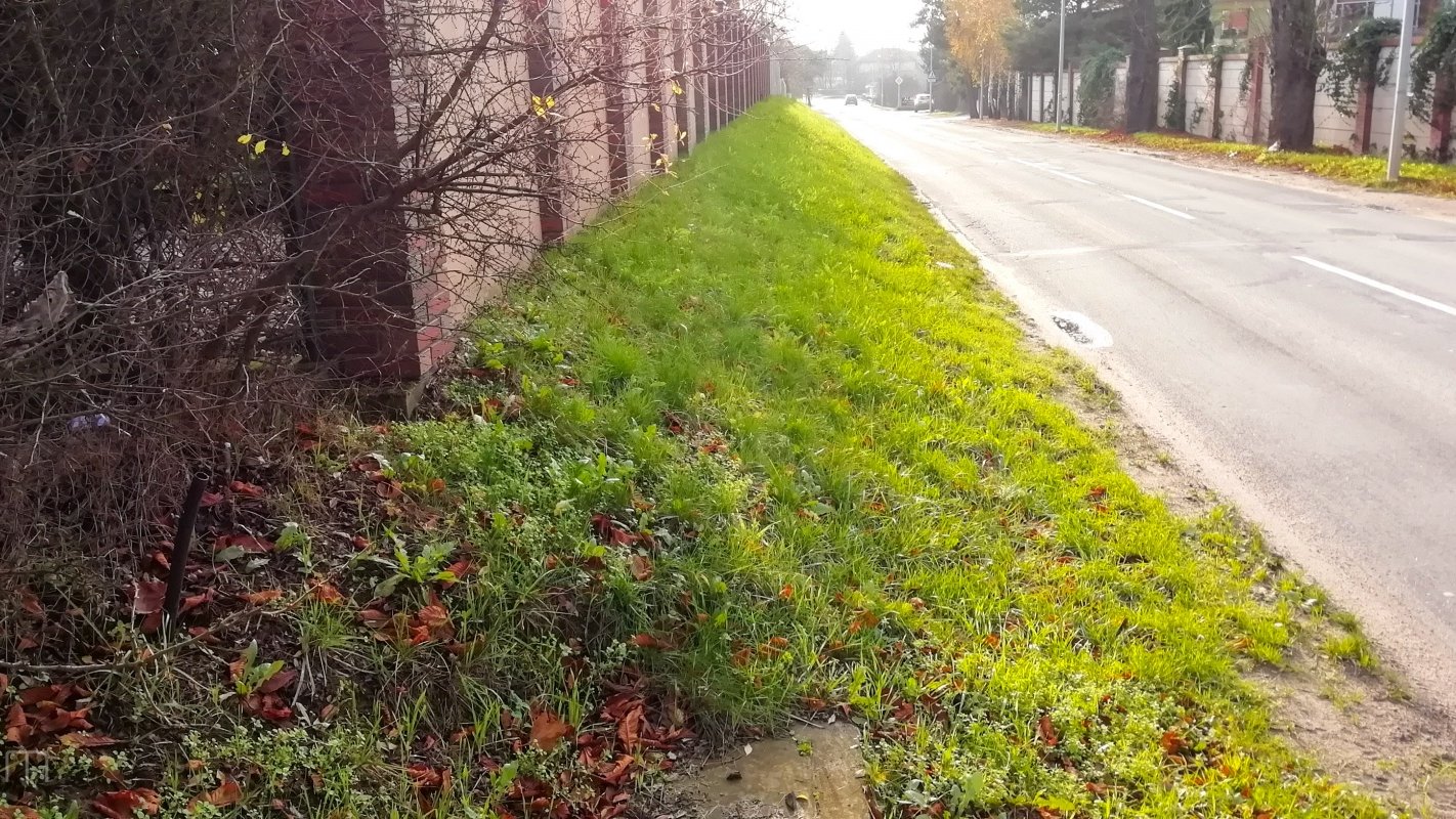 Galeria zdjęć ul. Morasko przed budową chodnika