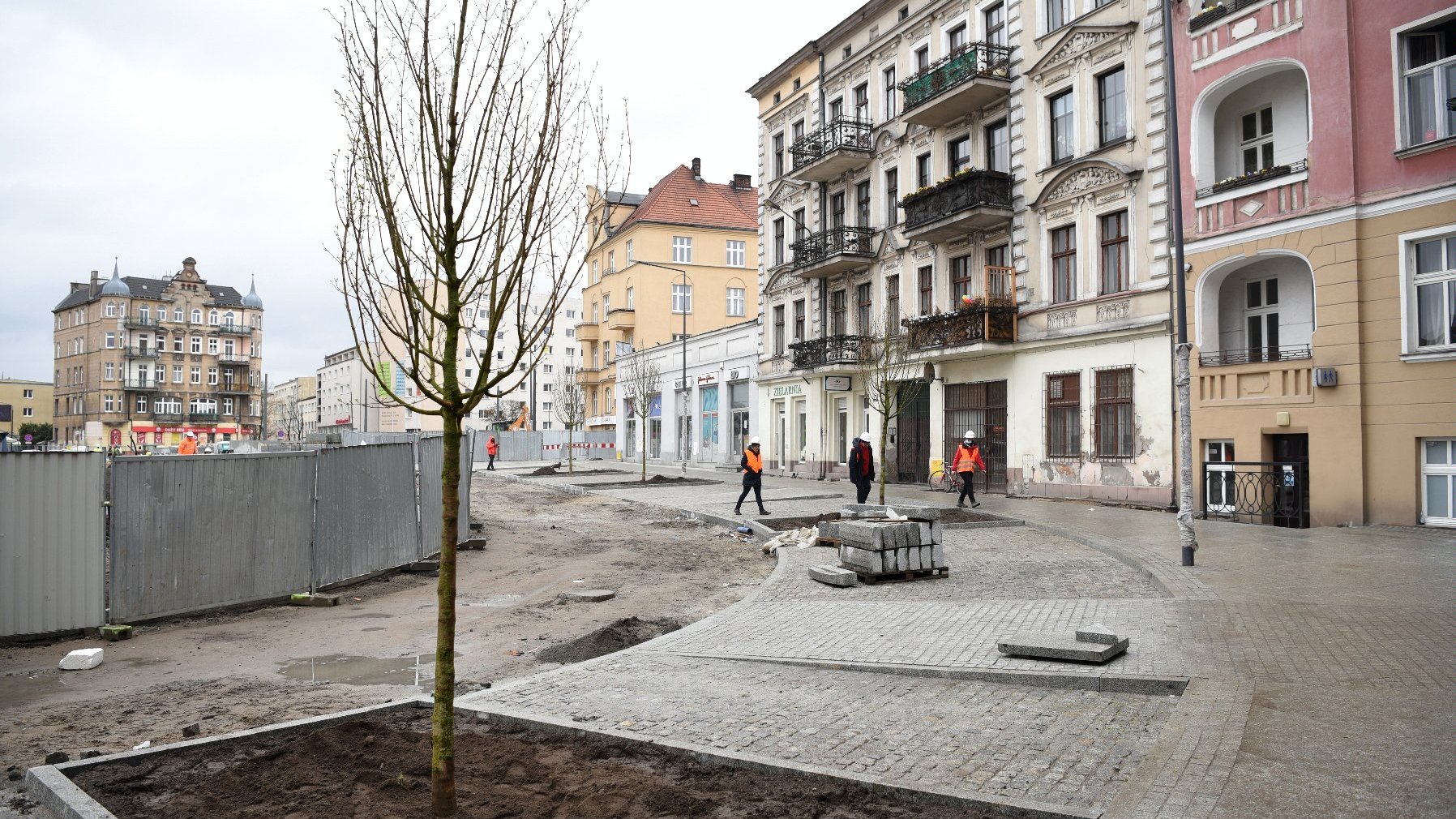 Rynek Łazarski, na pierwszym planie nowe drzewa i przechodzień, w tle robotnik i maszyny budowlane