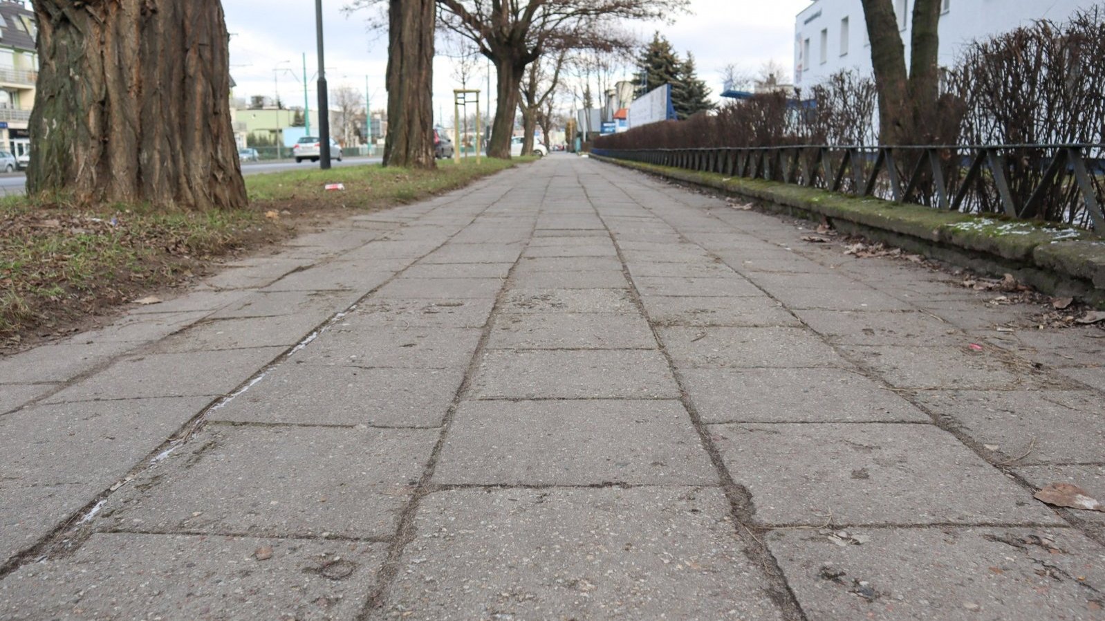 Galeria zdjęć pokazujących stan chodnika i drogi rowerowej przy ul. Grunwaldzkiej