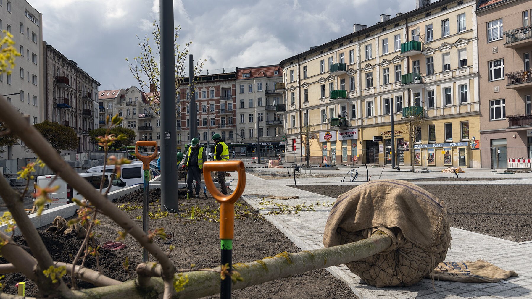 Rynek Łazarski, na pierwszym planie drzewo z zabezpieczonymi korzeniami, obok wbite łopaty. W tle robotnicy i kamienice