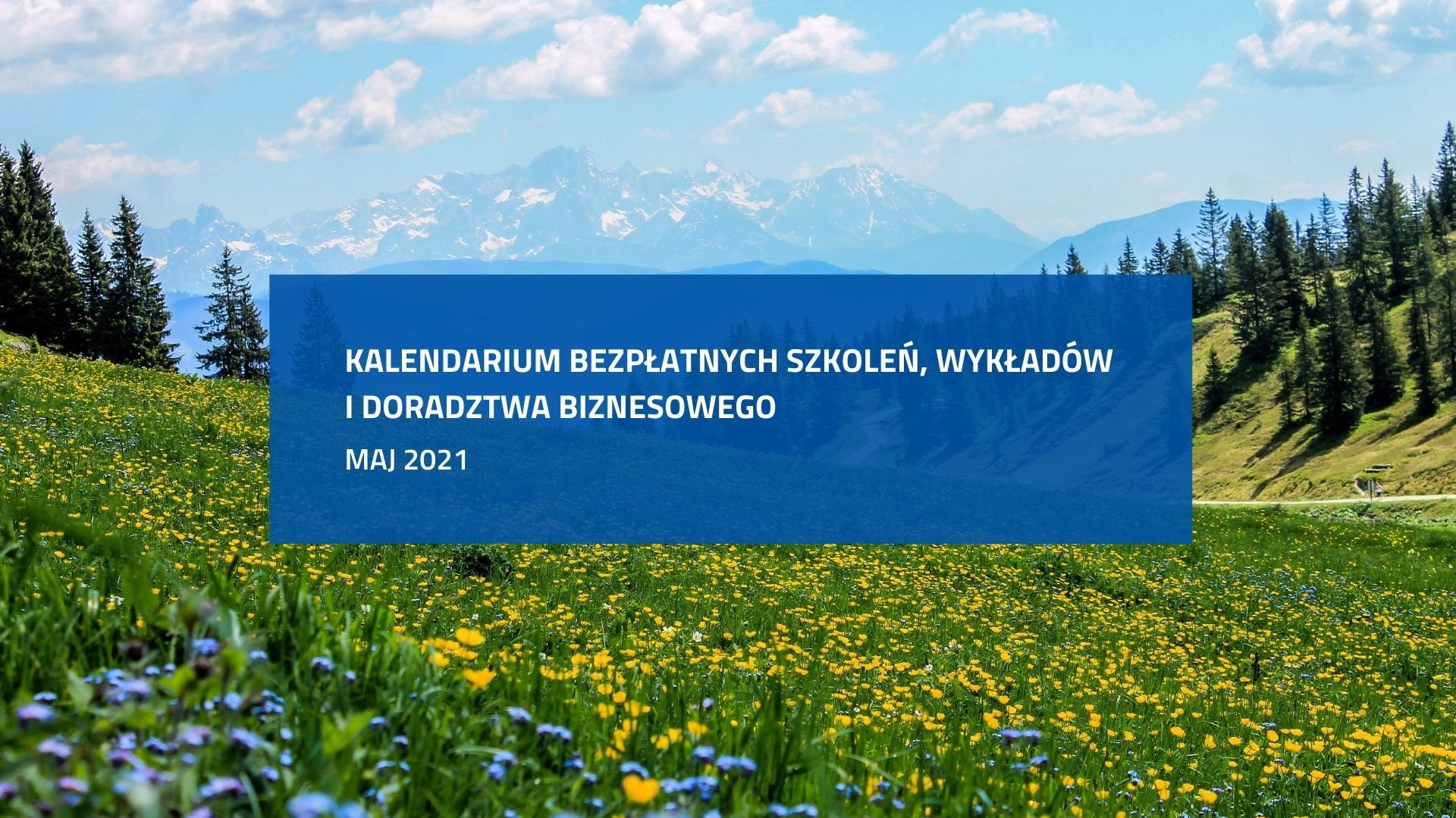 Grafika składa siez dwóch elementów. W tel zdjęcie ukwieconej łąki. Po środku napis: Kalendarium bezpłatnych szkoleń, wykładów i doradztwa biznesowego. Maj 2021. - grafika rozmowy