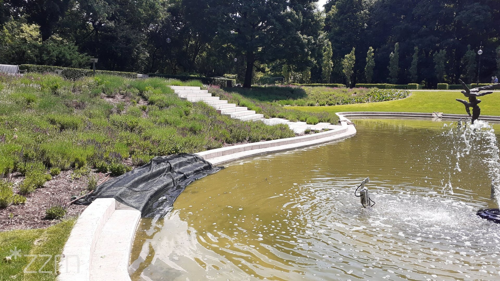 Zdjęcie przedstawia sadzawkę w parku. Obok widać zieleń.