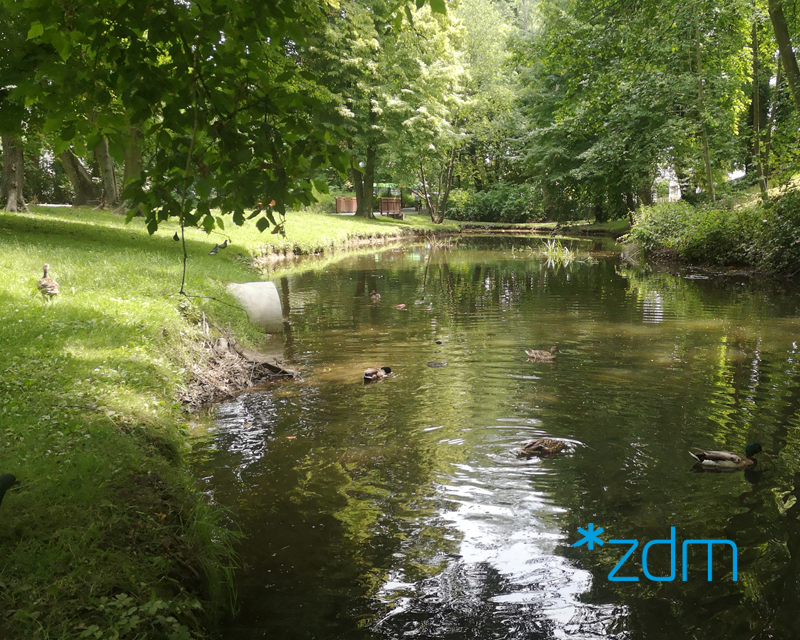 Park Sołacki. Środkiem płynie rzeka Bogdanka, na brzegach zieleń. W oddali most. - grafika rozmowy