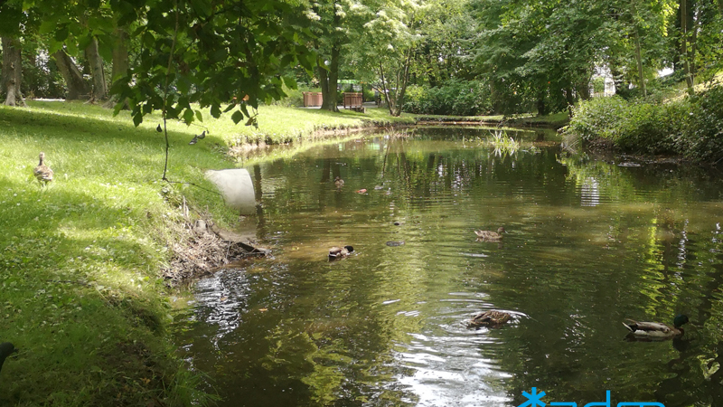 Park Sołacki. Środkiem płynie rzeka Bogdanka, na brzegach zieleń. W oddali most.