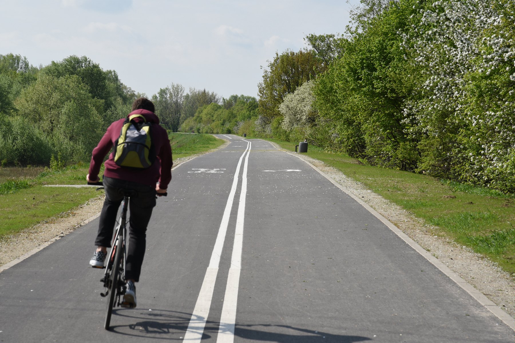 Rowerzysta jadący po Wartostradzie - grafika rozmowy