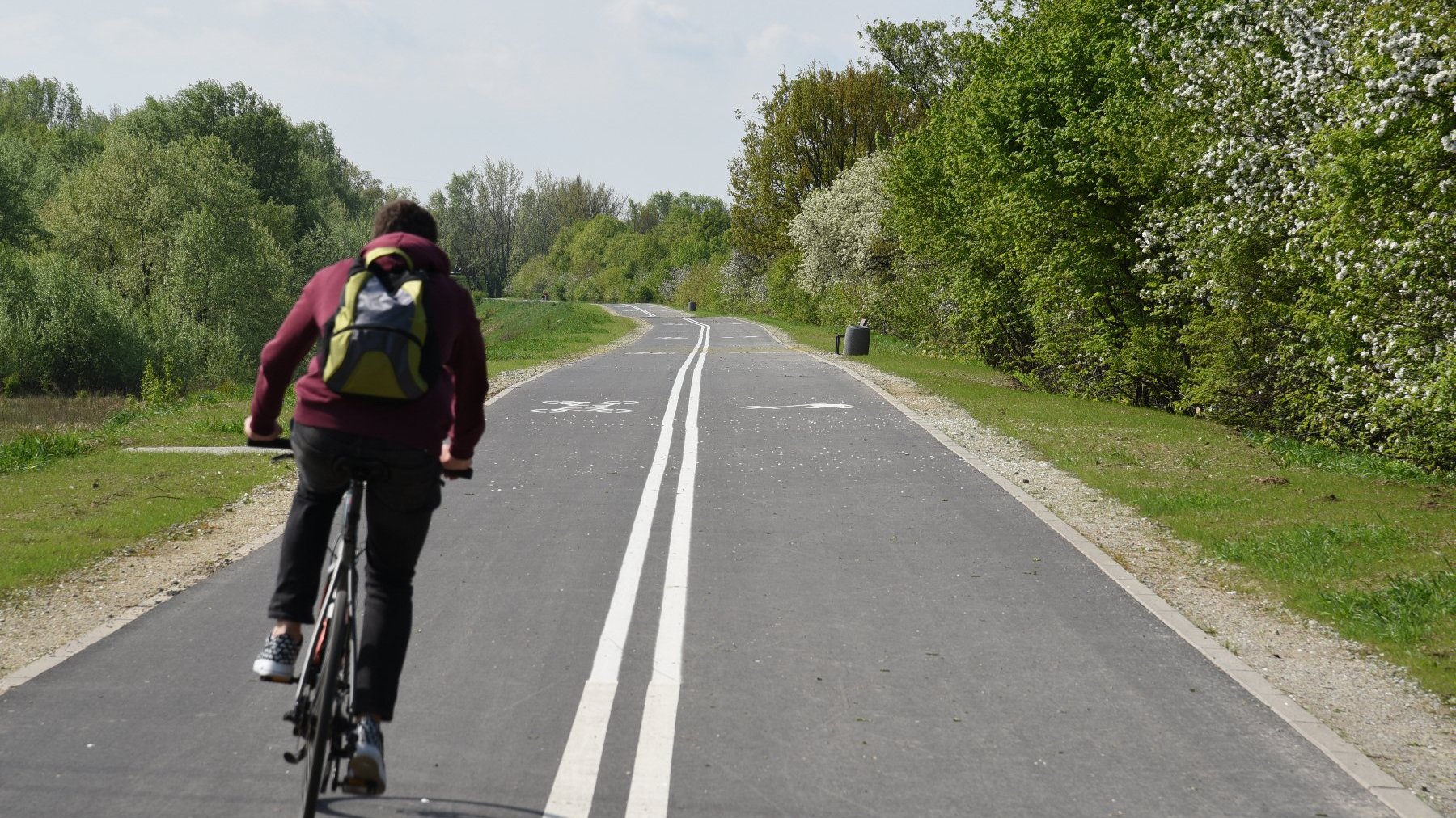 Rowerzysta jadący po Wartostradzie