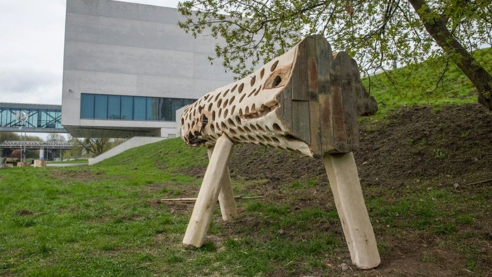 Zdjęcie przedstawia instalację artystyczną o nazwie Habitat. To drewniany pień, w którym znajdują się otwory dla owadów. W tle widać budynek Bramy Poznania.