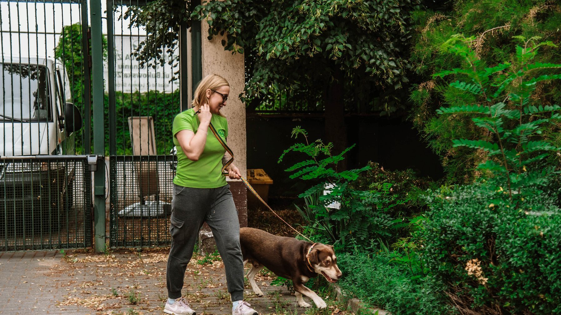 Galeria zdjęć przedstawia przeprowadzkę psów do nowego schroniska.