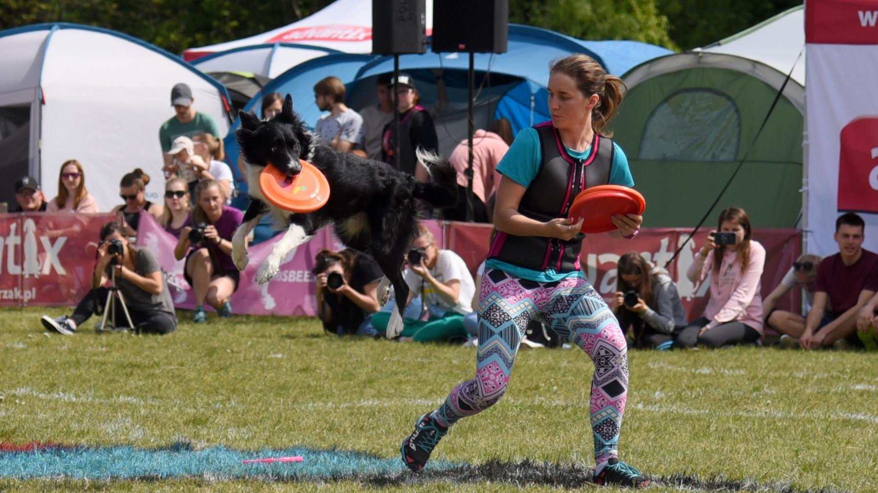 Zdjęcie przedstawia kobietę rzucającą frisbee psu. - grafika rozmowy