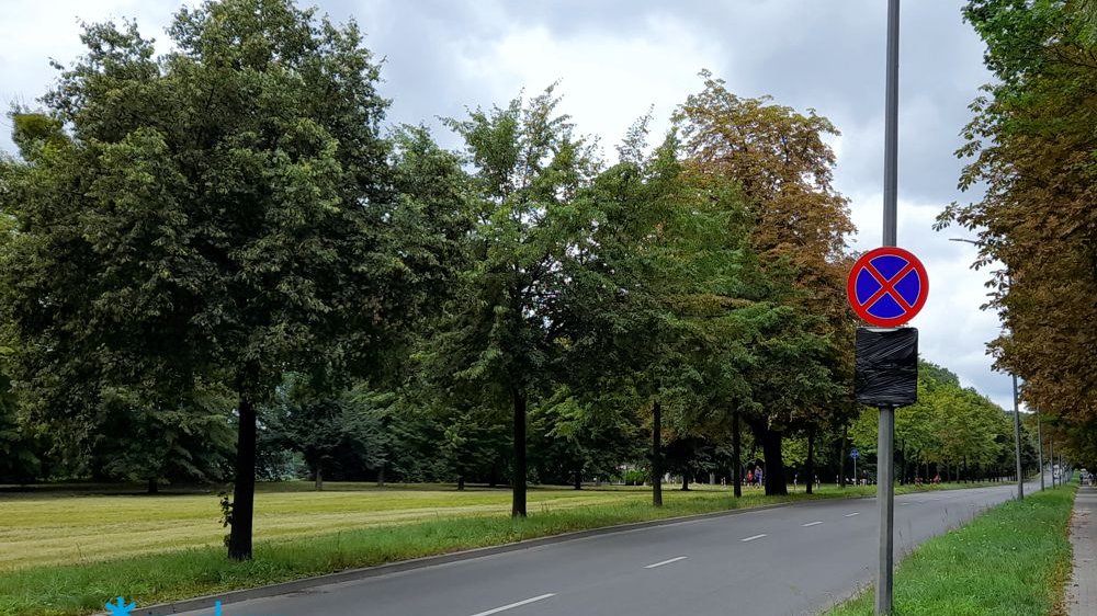 Galeria zdjęć przedstawia odcinek al. Armii Poznań. Na fotografiach widać jezdnie, samochody i pieszych na chodniku.