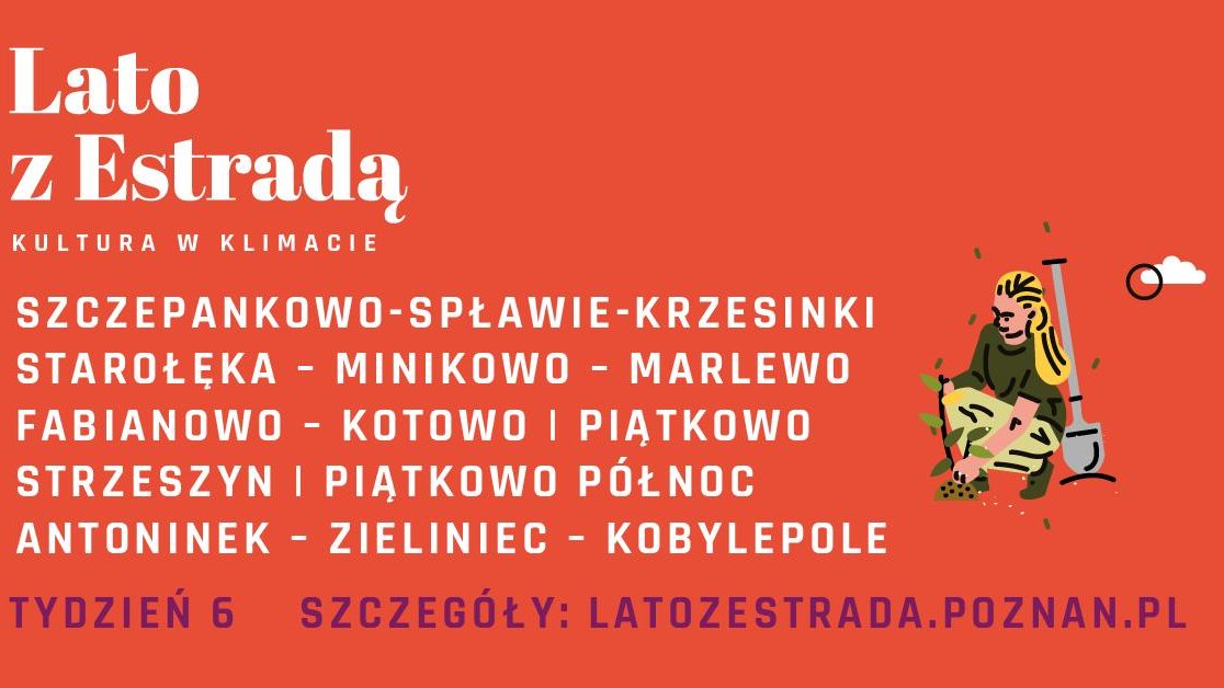 Plakat promoujący Lato z Estradą.