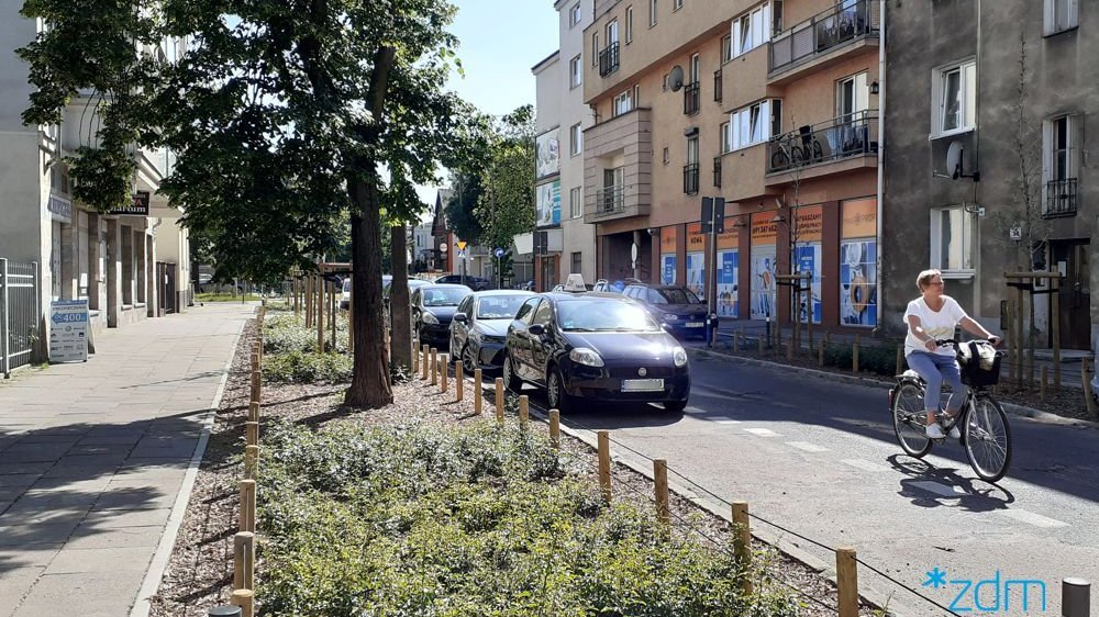 Galeria zdjęć przedstawia zieleń przy pasach drogowych.