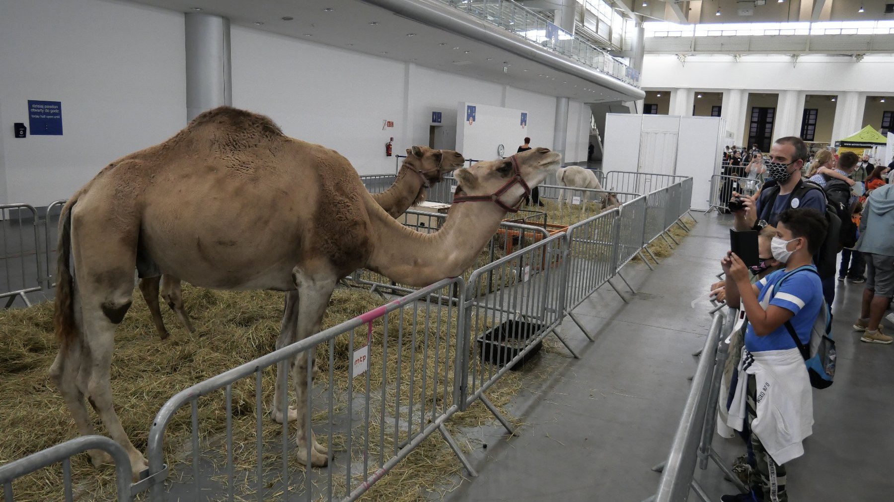 Galeria zdjęć przedstawia wydarzenia, które odbędą się na terenie MTP w najbliższy weekend.