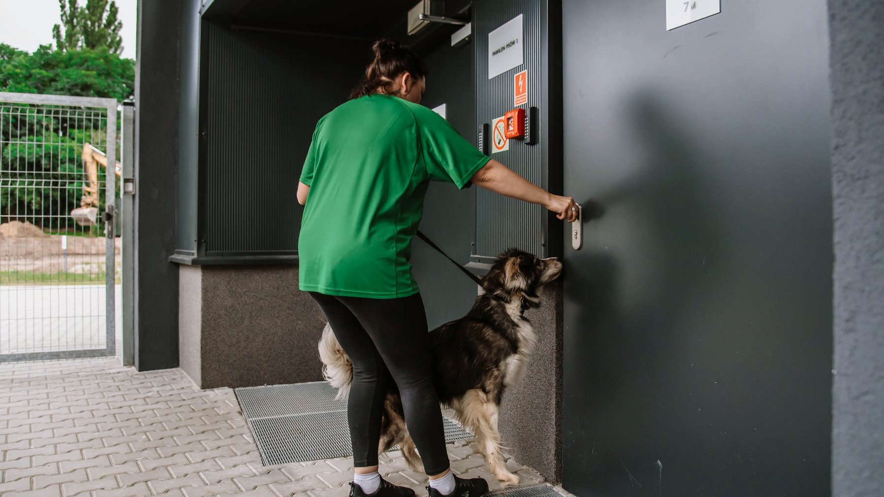 Galeria zdjęć przedstawia pracowników schroniska z psami.