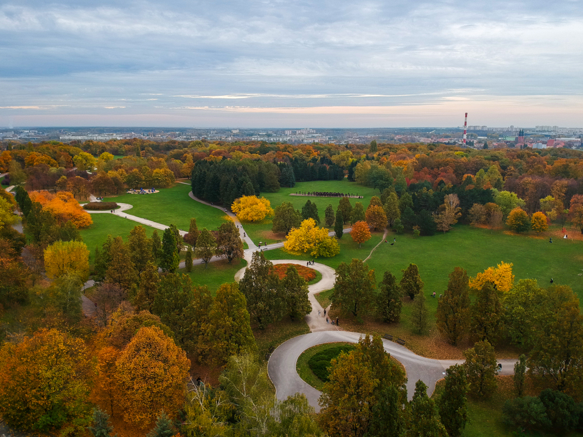 Widok na park Cytadela z lotu ptaka. - grafika rozmowy