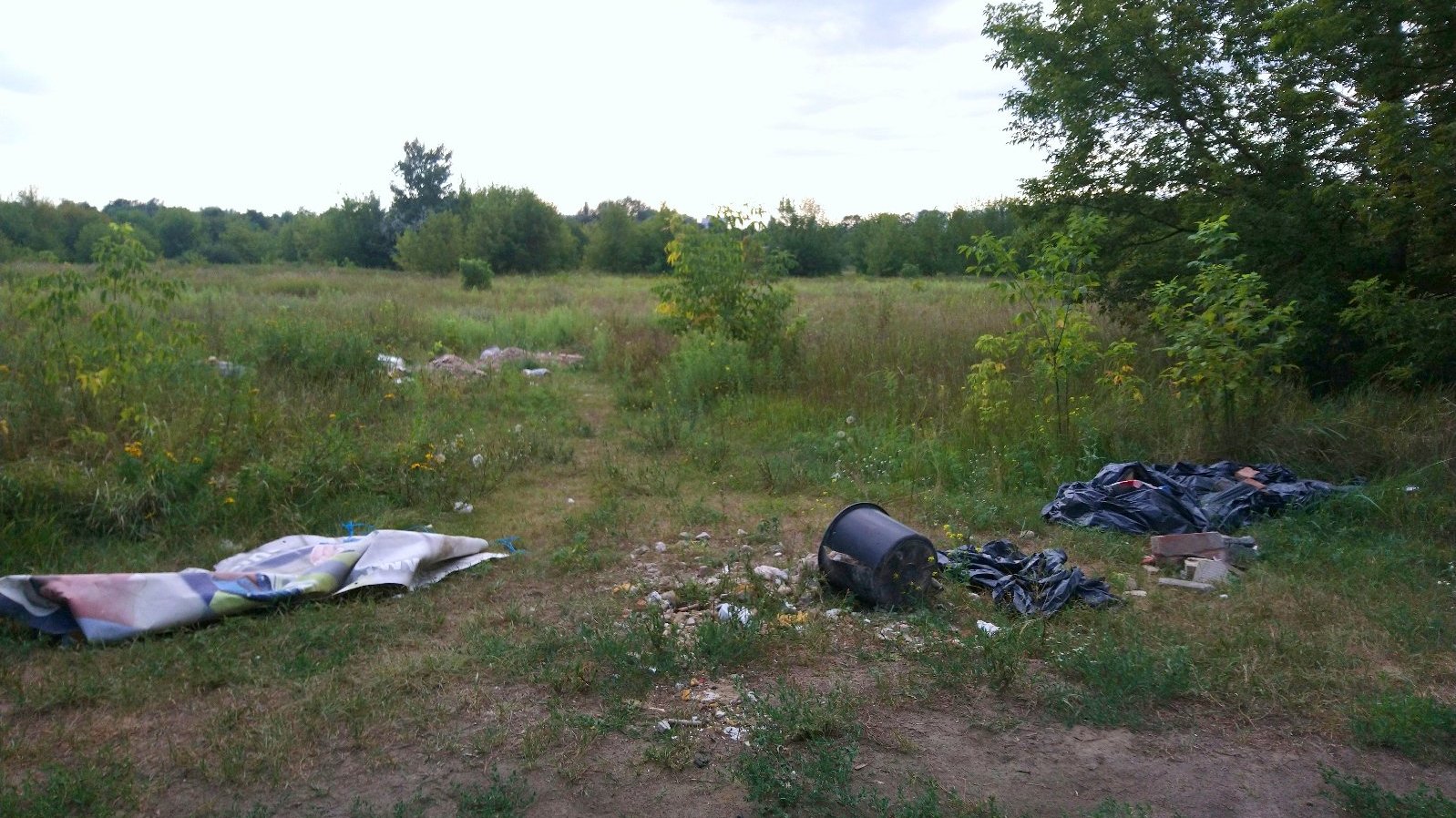 Galeria zdjęć przedstawia wysypane na trawie śmieci.