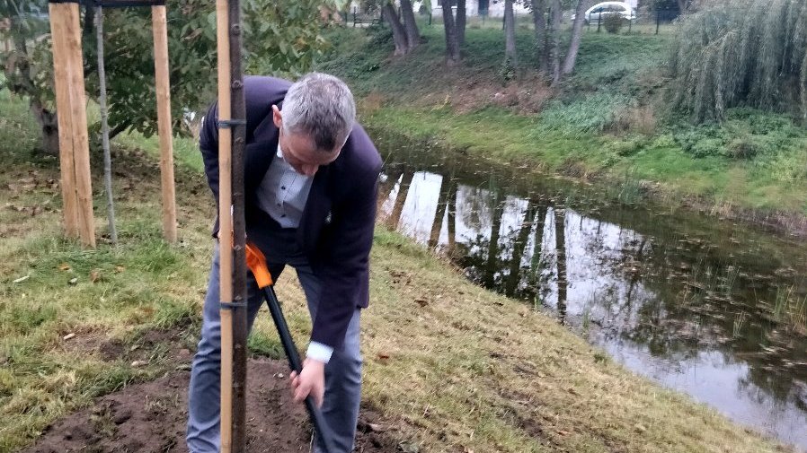 Zdjęcie przedstawia wiceprezydenta sadzącego drzewo.