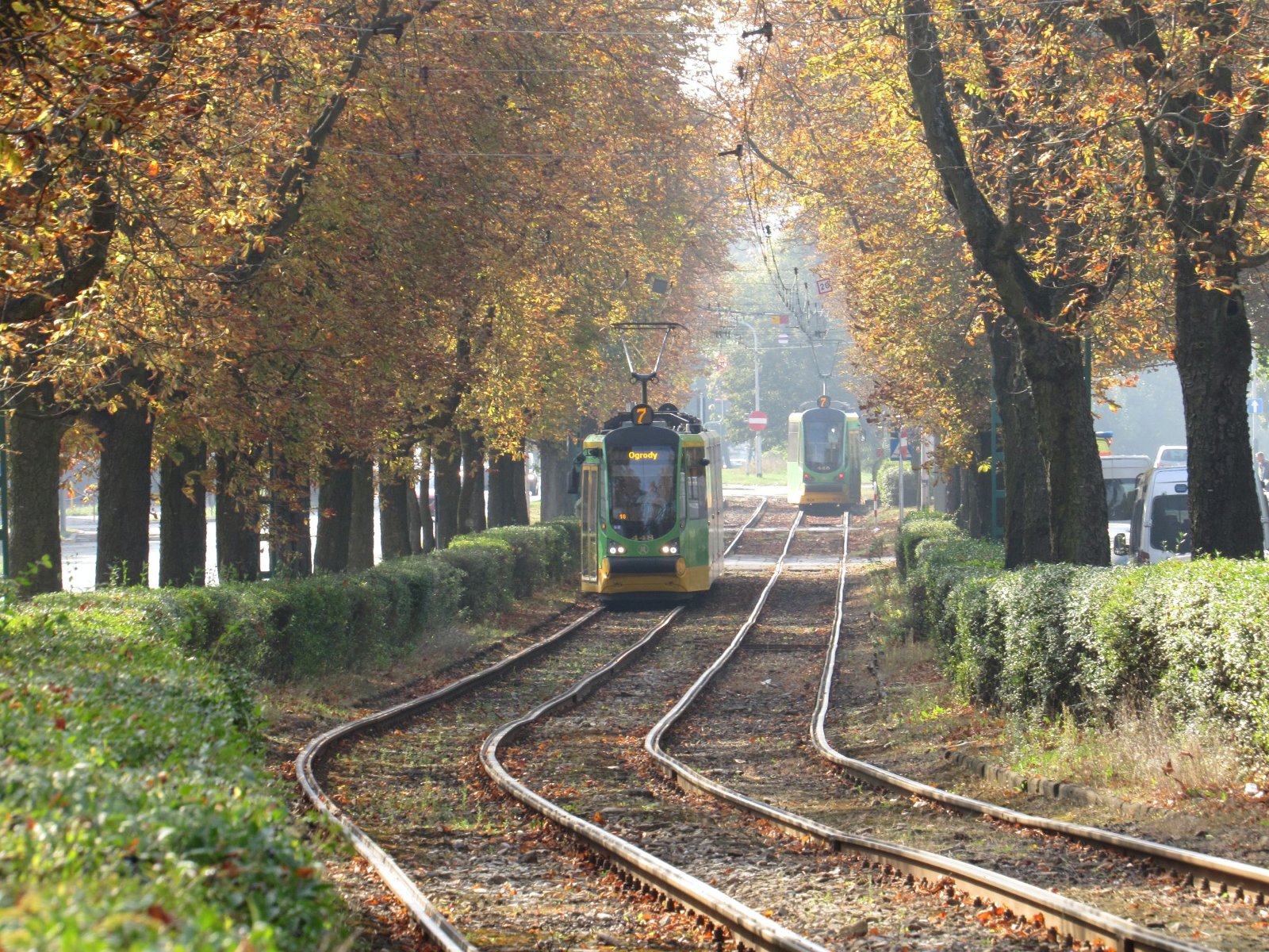 Zdjęcie tramwajów linii nr 7 jadących trasą wzdłuż ul. Przybyszewskiego i Reymonta - grafika rozmowy