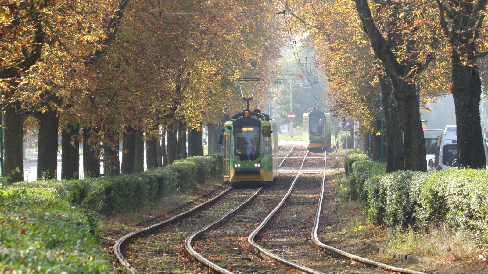 Zdjęcie tramwajów linii nr 7 jadących trasą wzdłuż ul. Przybyszewskiego i Reymonta