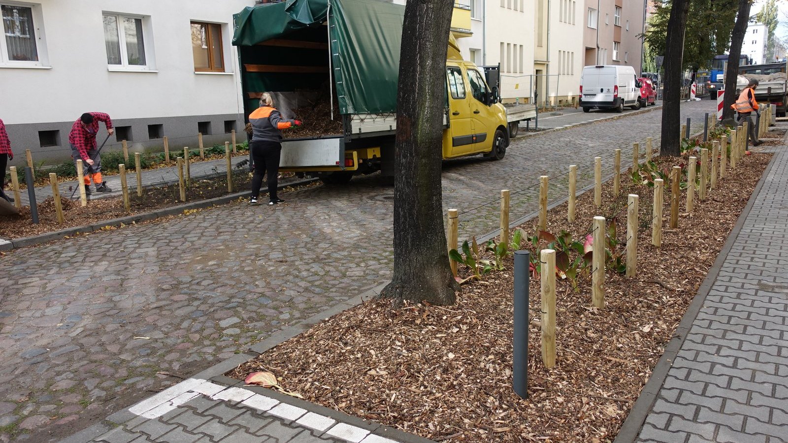 Zdjęcie przedstawia ludzi sadzących rośliny w pasie drogowym.