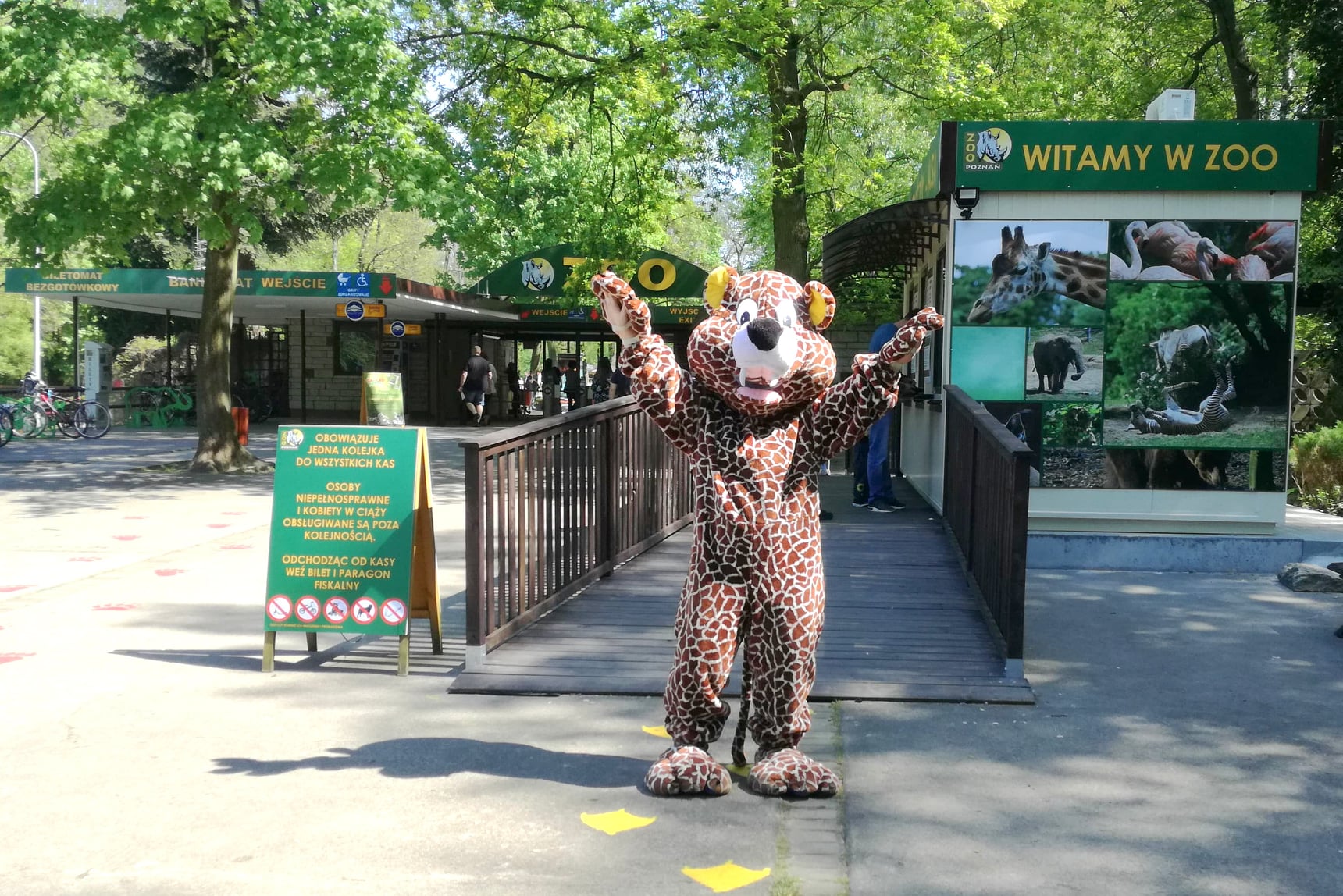 Zdjęcie przedstawia człowieka przebranego za pluszowego geparda. W tle widać wejście do zoo. - grafika rozmowy