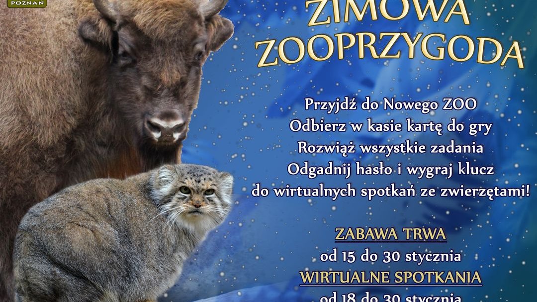 Grafika przedstawia zdjęcie dzikiego kota i żubra oraz informacje o wydarzeniu.